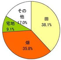 面積の円グラフ