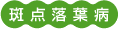 斑点落葉病