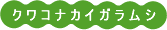クワコナカイガラムシ
