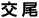 交尾