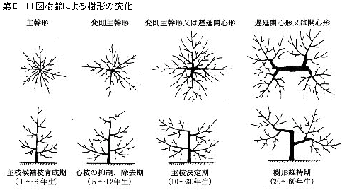 ヴァーチャルリンゴ博物館