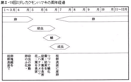 ヴァーチャルリンゴ博物館