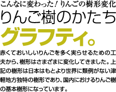 りんごの木様　黒4白6 ヴァーチャルリンゴ博物館